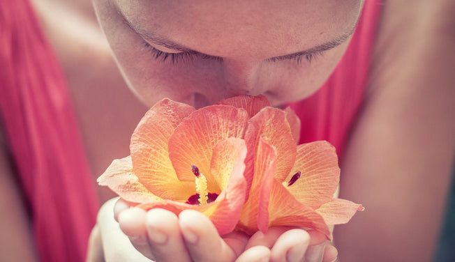 Terpenes 101